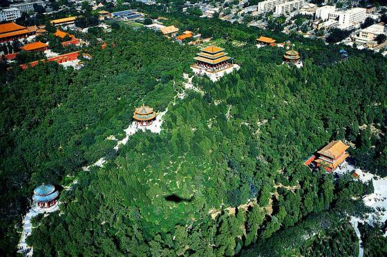 ȫ���ص����ﱣ����λ����ɽ�����