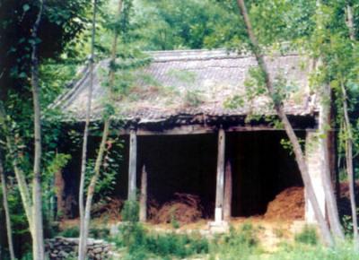 ɽ��������Ȫ����Ȫ