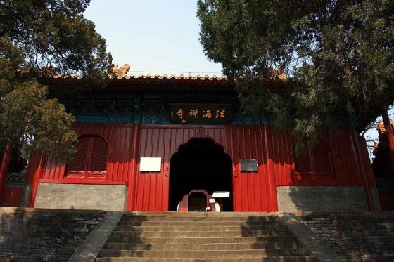 ȫ���ص����ﱣ����λ��������