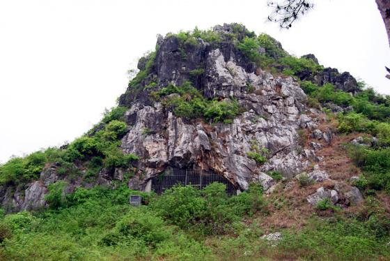 ȫ���ص����ﱣ����λ���������ַ