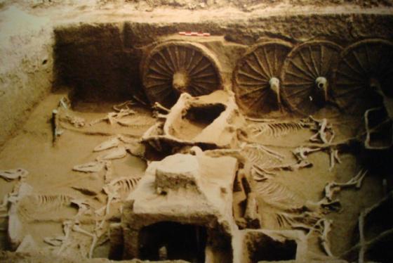 ȫ���ص����ﱣ����λ����������ַ