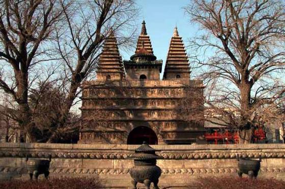 ȫ���ص����ﱣ����λ������½�ձ������׳ơ�����������