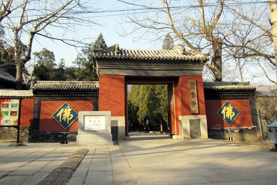 ȫ���ص����ﱣ����λ��������