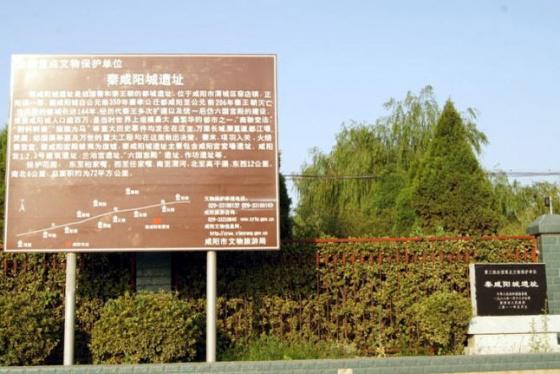 ȫ���ص����ﱣ����λ������������ַ