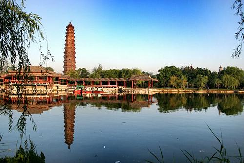 ȫ���ص����ﱣ����λ���v������