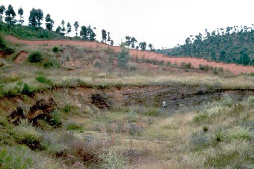 ȫ���ص����ﱣ����λ�������Գ��ʯ�ص�