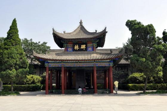 ȫ���ص����ﱣ����λ����������