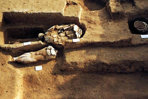 ȫ���ص����ﱣ����λ����ɽ��ַ