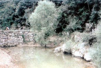 ɽ��������Ȫ������Ȫ