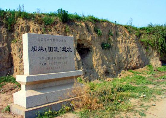 ɽ������:ͩ�֣���������ַ