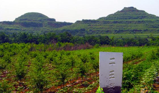 ɽ������:�������ꡪ�������V