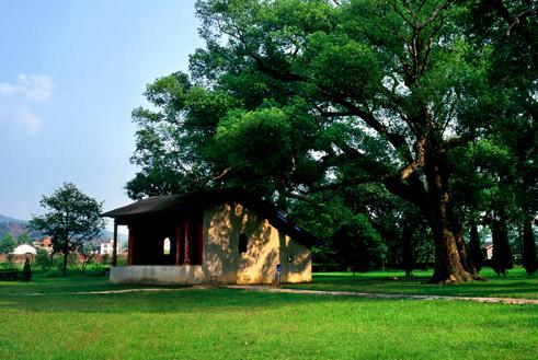 �������̨