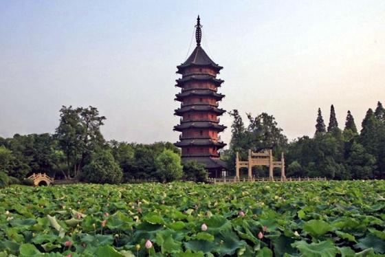 ȫ���ص����ﱣ����λ����Ӣ��