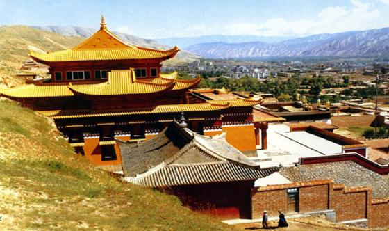 ȫ���ص����ﱣ����λ��¡����