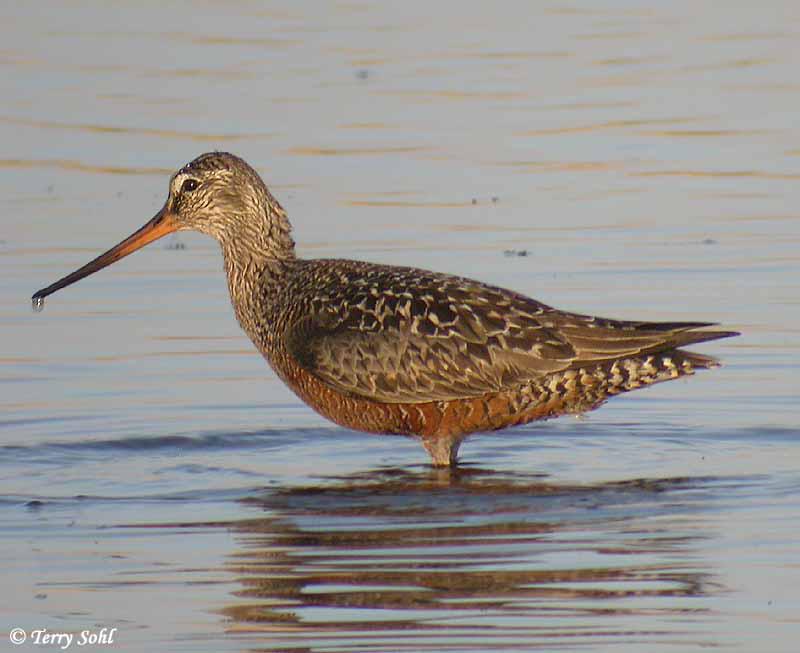 �����ֵ�ͼƬ