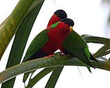 ��������������