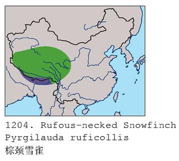 �ؾ�ѩȸ�������ֲ�ͼ