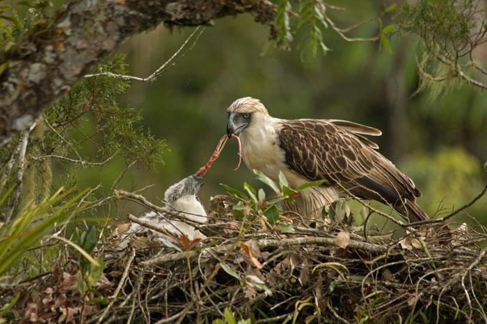 ���ɱ�������