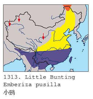 С�c�������ֲ�ͼ