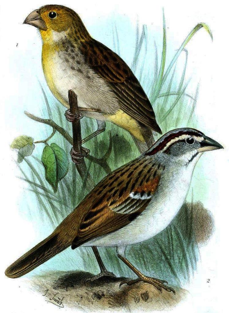 ͨ��˹ȸ�c����̬����ͼ