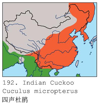 �����ž飺�����ֲ�ͼ