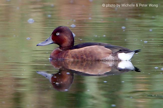 ����ǱѼ��ͼƬ