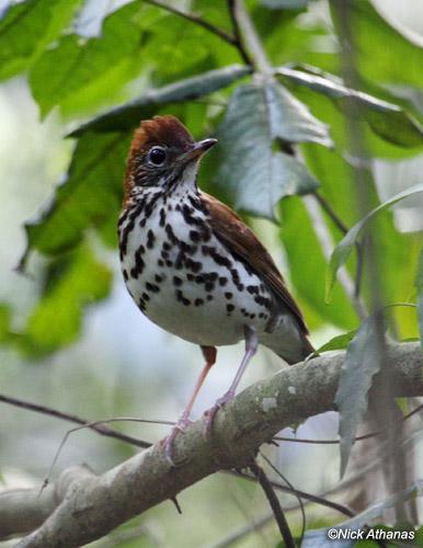 ������ͼƬ