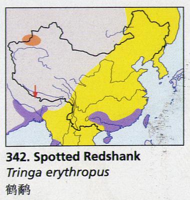 ���֣������ֲ�ͼ