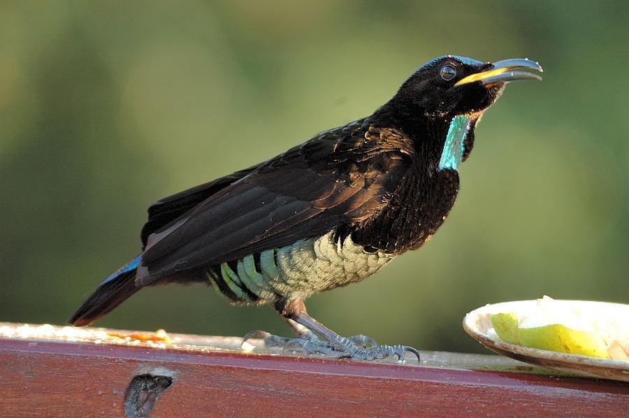 С�ڱǷ����ͼƬ