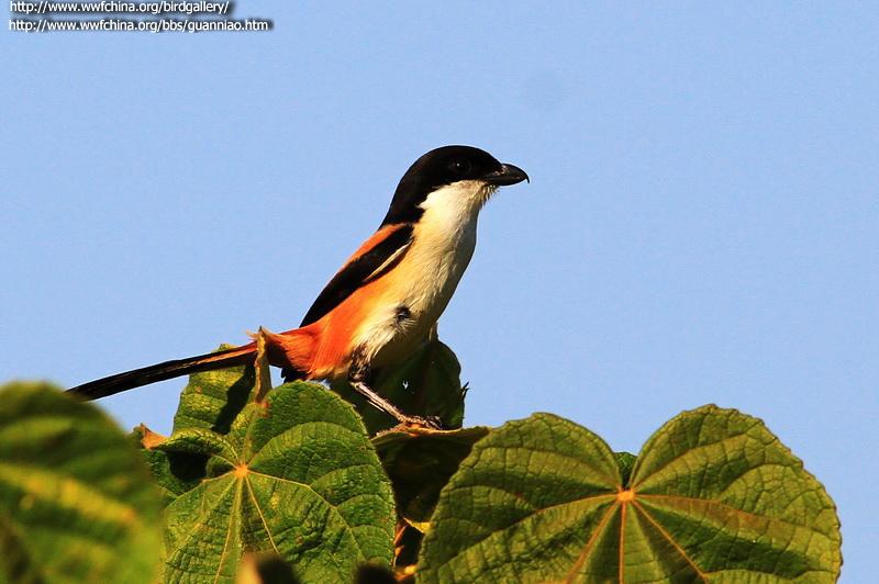 �ر�������������