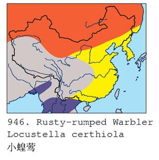 С��ݺ�������ֲ�ͼ