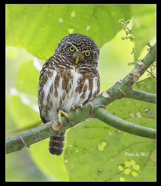 ��m����ͼƬ