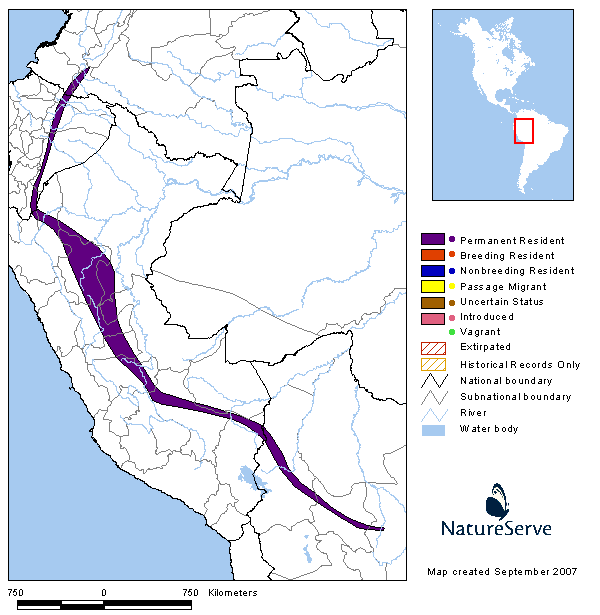 �߸��۾��^�������ֲ�ͼ