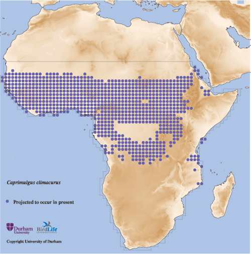 ���޳�βҹӥ