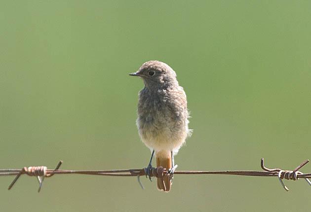 ����ɽ��β𶣺���������ຣ��