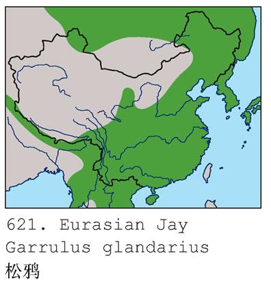 ��ѻ�������ֲ�ͼ