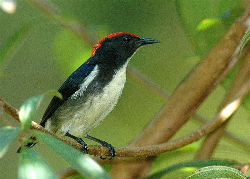 �챳�Ļ�������