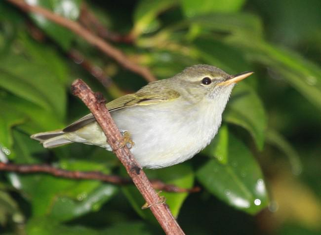 ������ݺ�������ձ�����