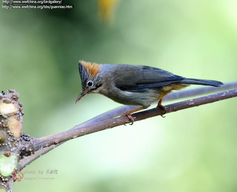 ���η��̵�ͼƬ