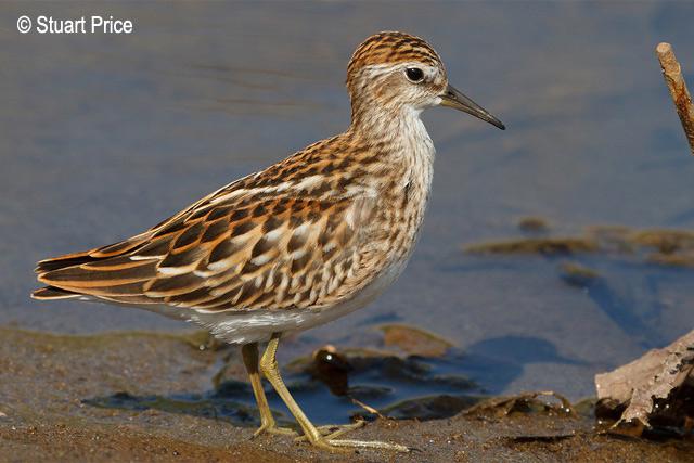 ��ֺ���ֵ�ͼƬ