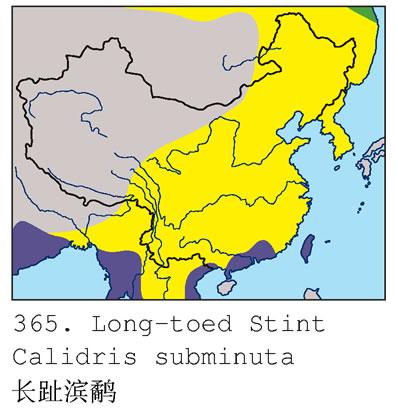 ��ֺ���ֵ����ֲ�ͼ