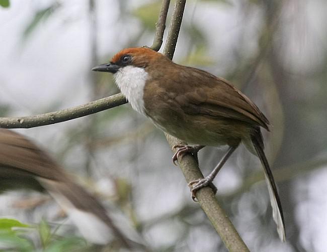 ̨��׺����̵�ͼƬ