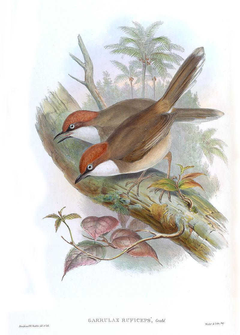 ̨��׺�����