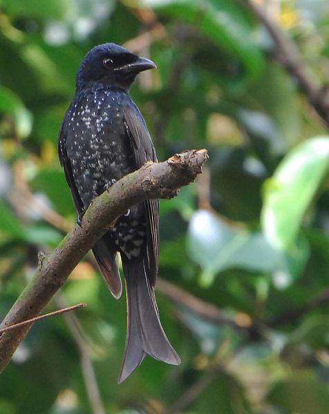 ѻ���β���ǳ���