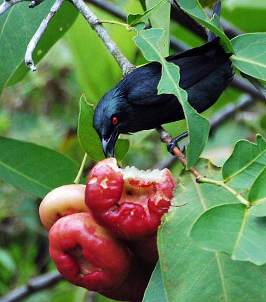 ���޻����