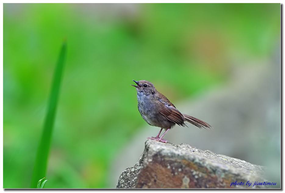 ̨��̳�ݺ��ͼƬ