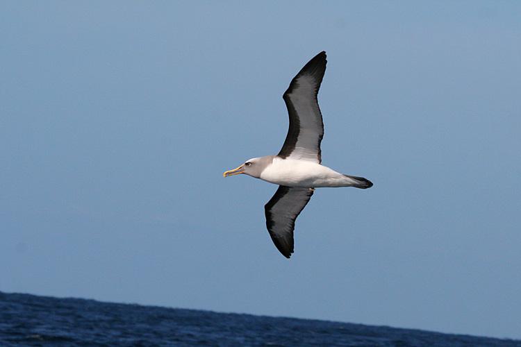 �����������̵�ͼƬ