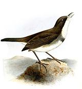 �������l��