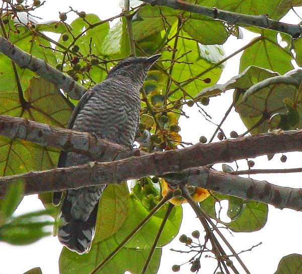 ӧ���V��ͼƬ