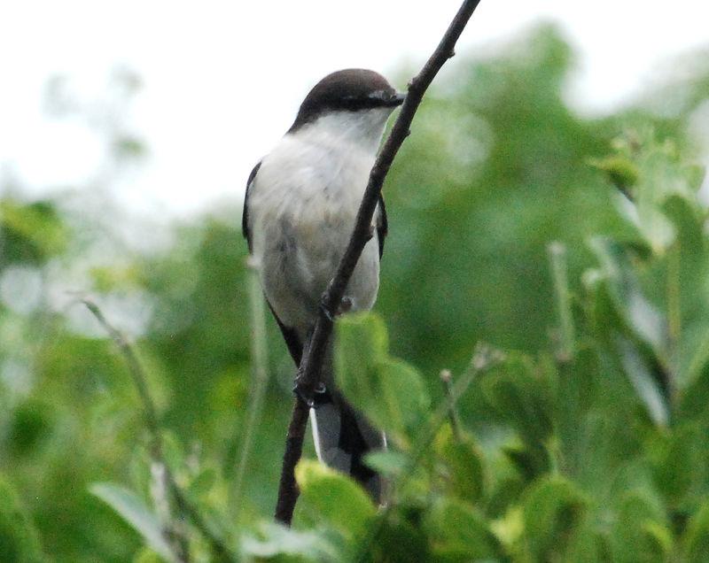 ��β�����V��ͼƬ